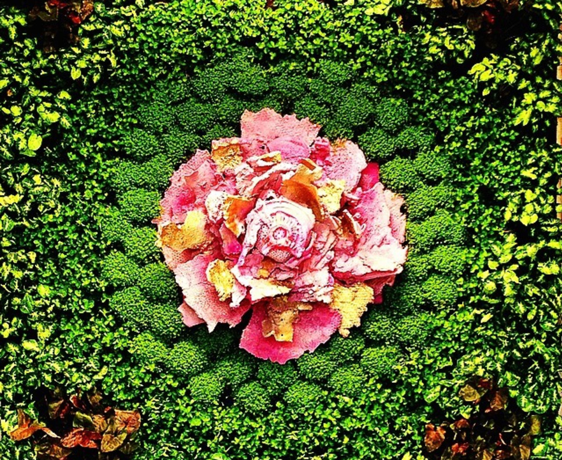 Asso di Fiori 2016 installazione ambientale, in posa cm 200x260x30, piante acqua corrente, 5 elementi in ceramica. Stanza "B", giardino verticale.