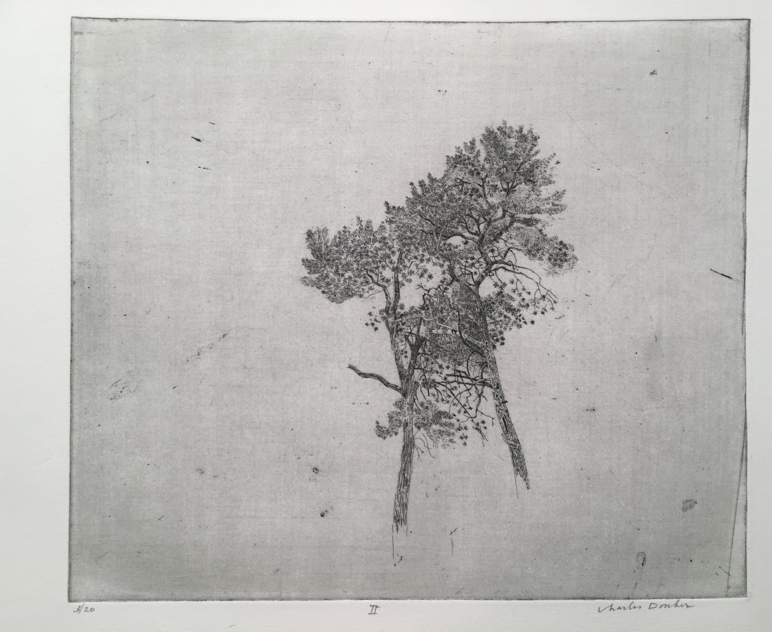 Charles Donker, Twee grove dennen II (Deux pins sylvestres II), Circa 2015