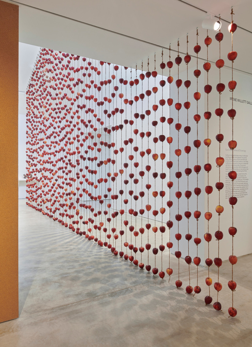 Falling from grace, 2000–2024