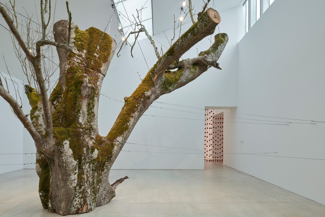 The inner space within, 2008–2024