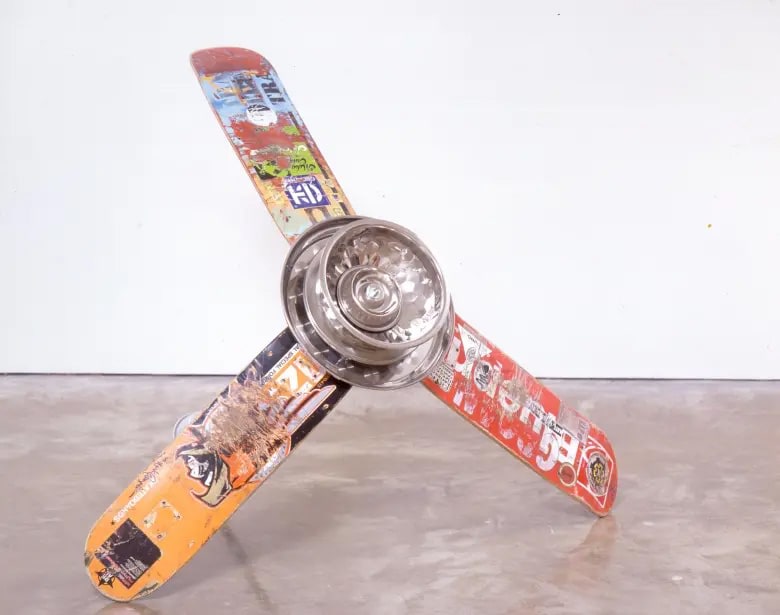 Skateboarderistismatronics (Fan), 2004