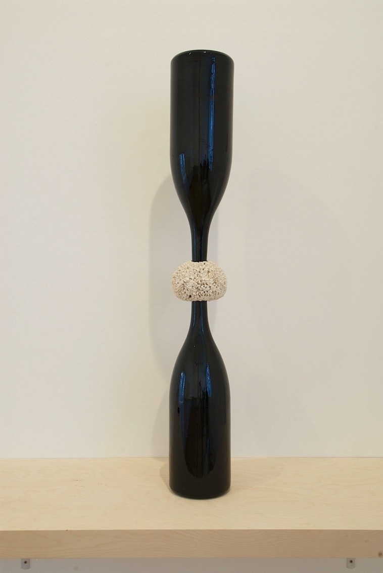 Contigue (Bottles, Sponge), 2008