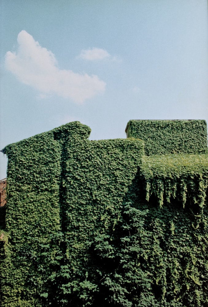 Ferrara, 1981