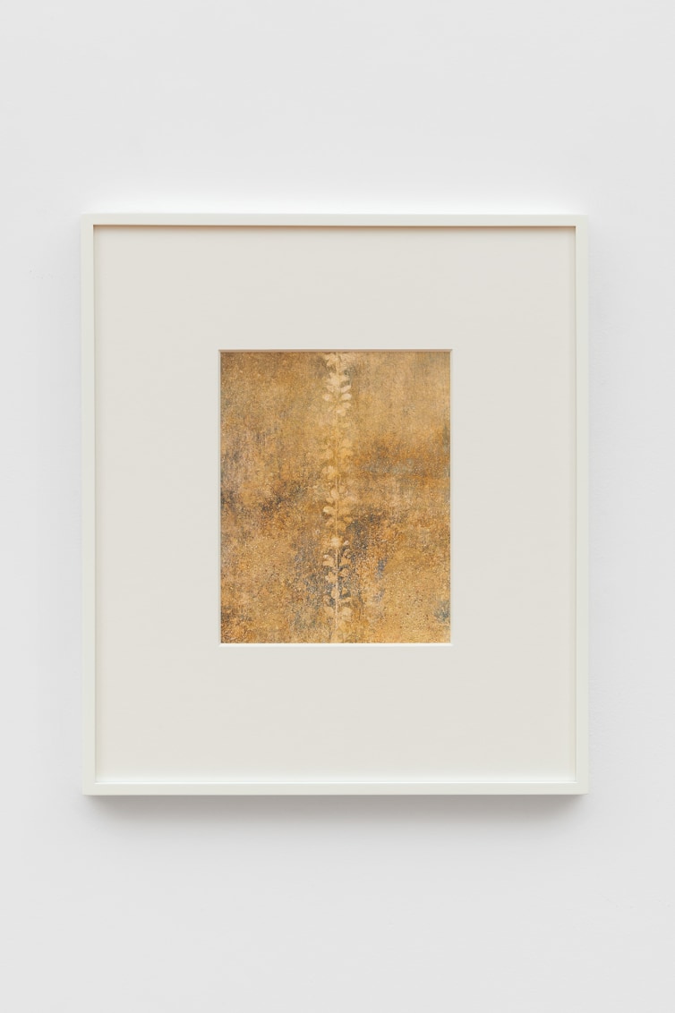 Untitled (Casa del Menandro, #01), 2020
