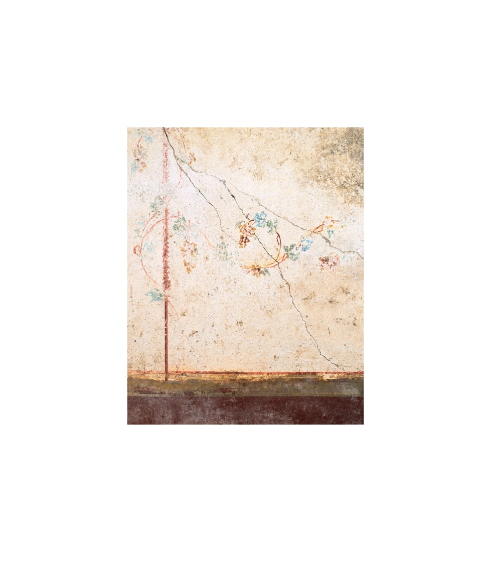 Untitled (Casa di Leda e il Cigno, #01), 2020