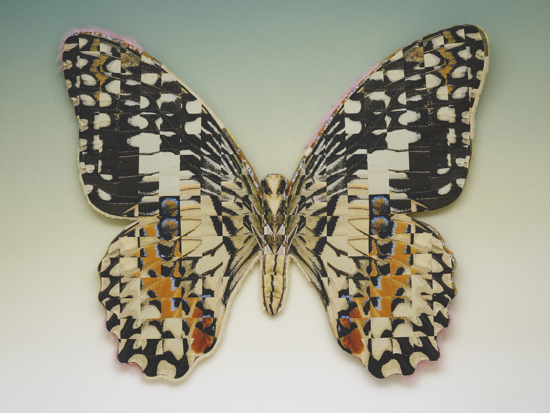 Transposed Lime Butterfly, 2019