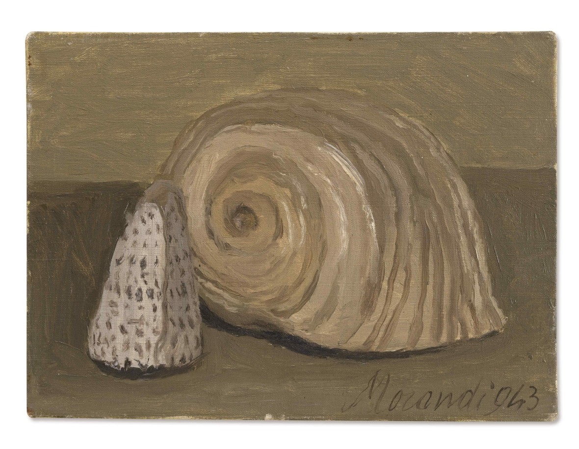 Still Life