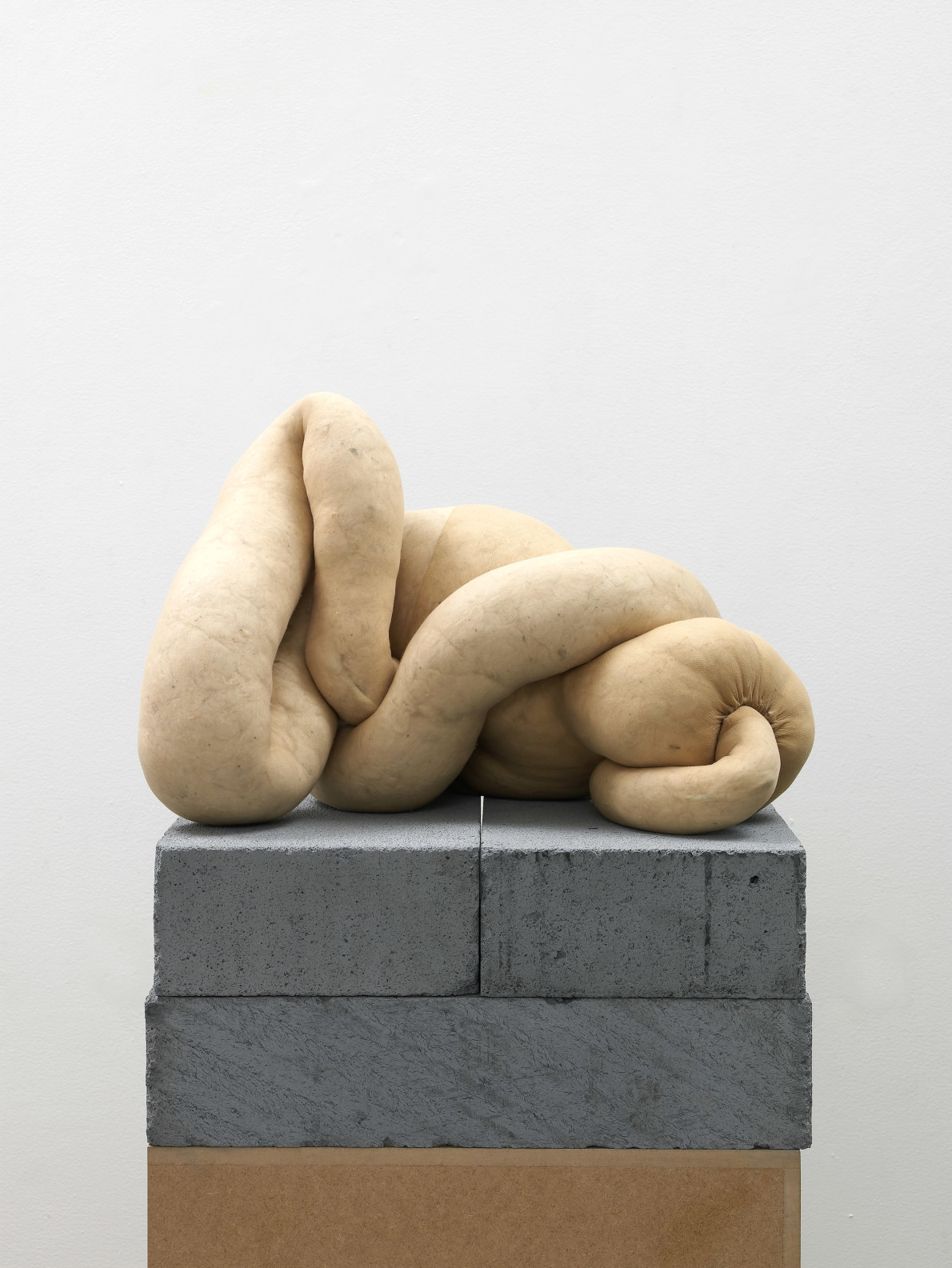 Sarah Lucas, NUD 16, 2009