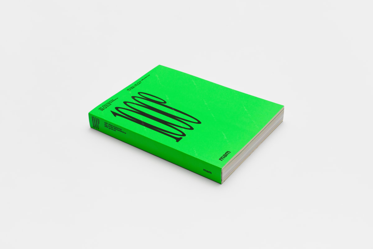 38th Panorama of Brazilian Art: A thousand degrees