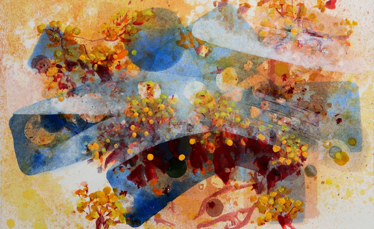 Norway Maple Study IV, 2024