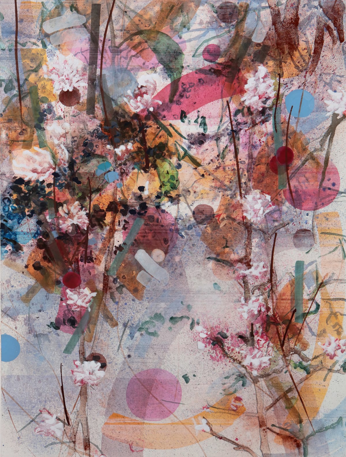 Viburnum Bodnantense, 2021
