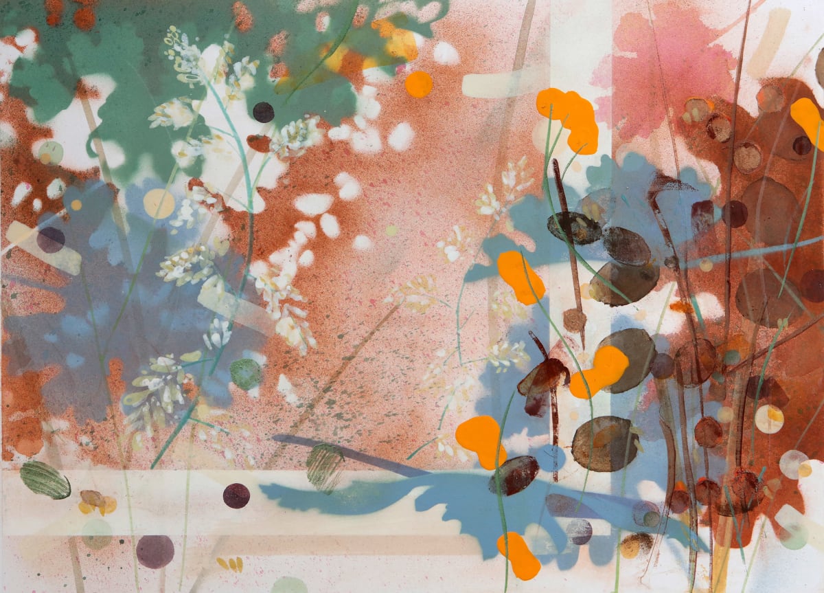 Macleaya and Welsh Poppies, 2024