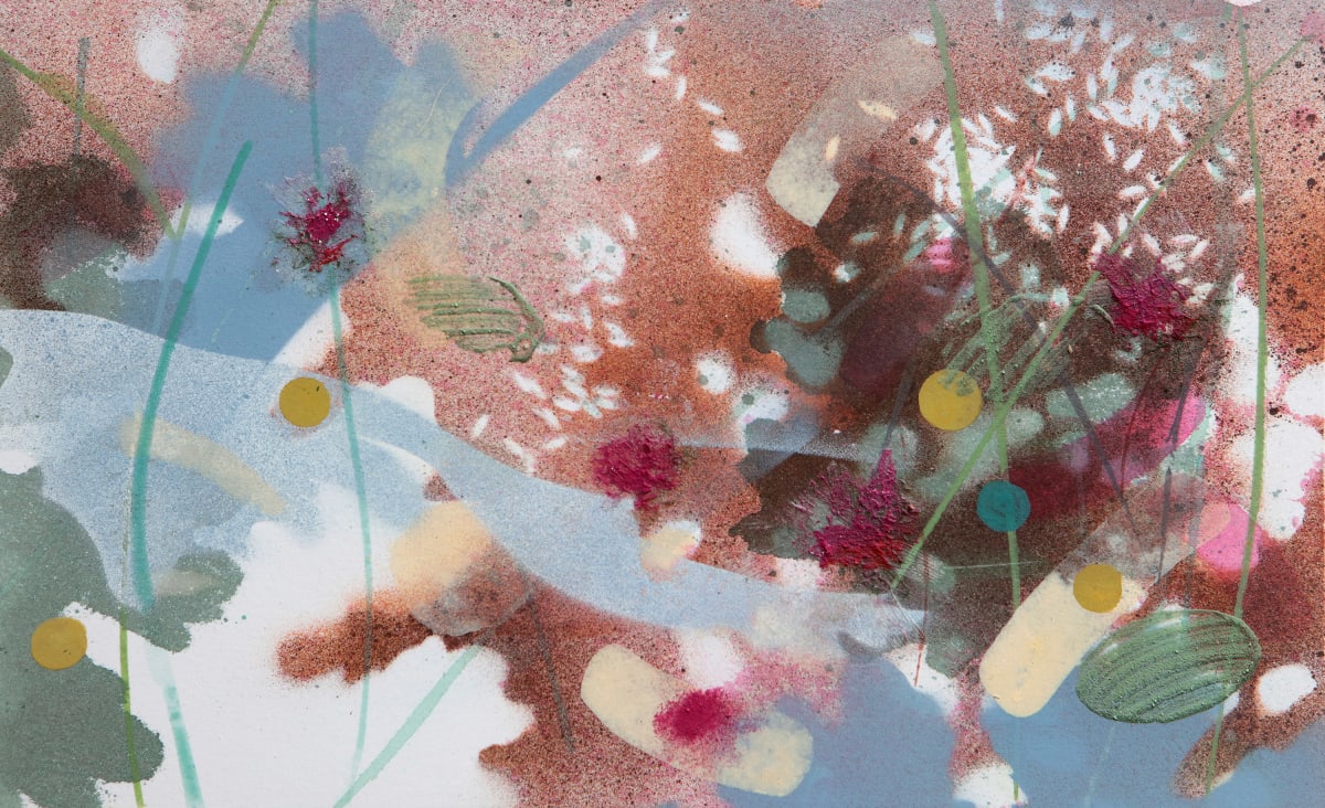 Macleaya and Callistemons II, 2024