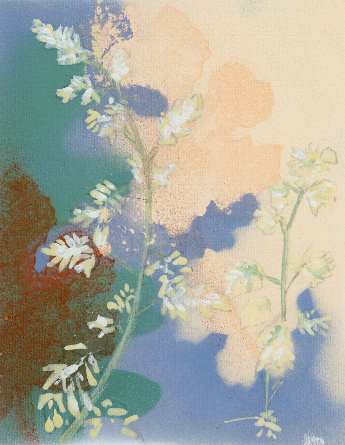 Macleaya Study Small I, 2024