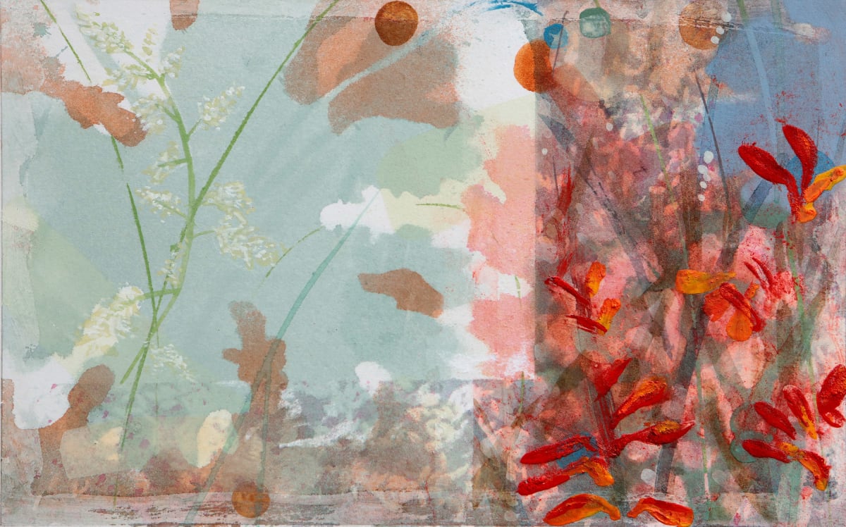 Macleaya and Crocosmia I, 2024
