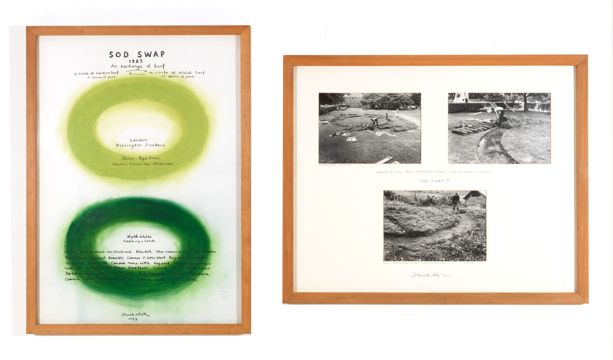 Works - David Nash | Annely Juda Fine Art