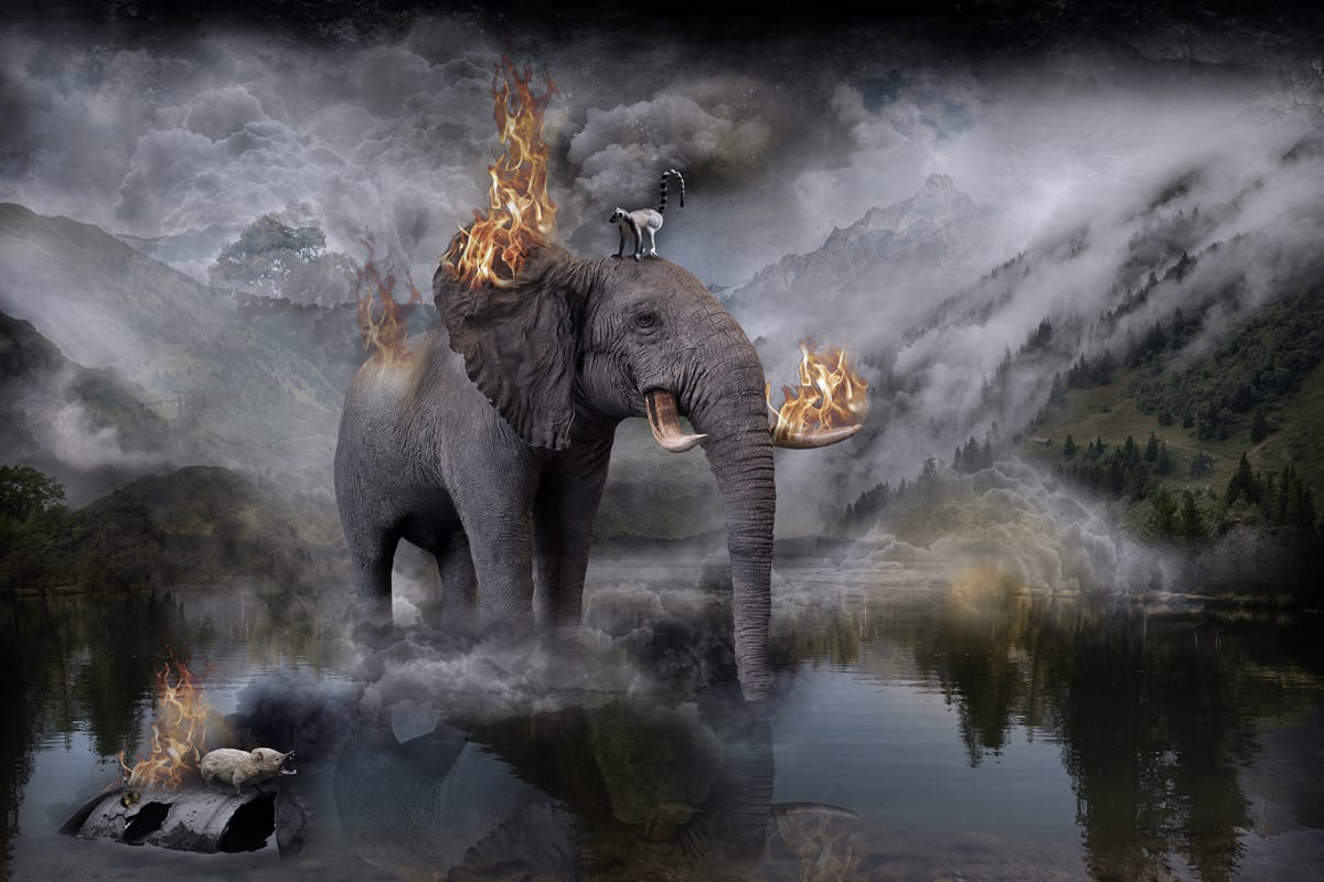 Works - Utopia | ARTCO Gallery