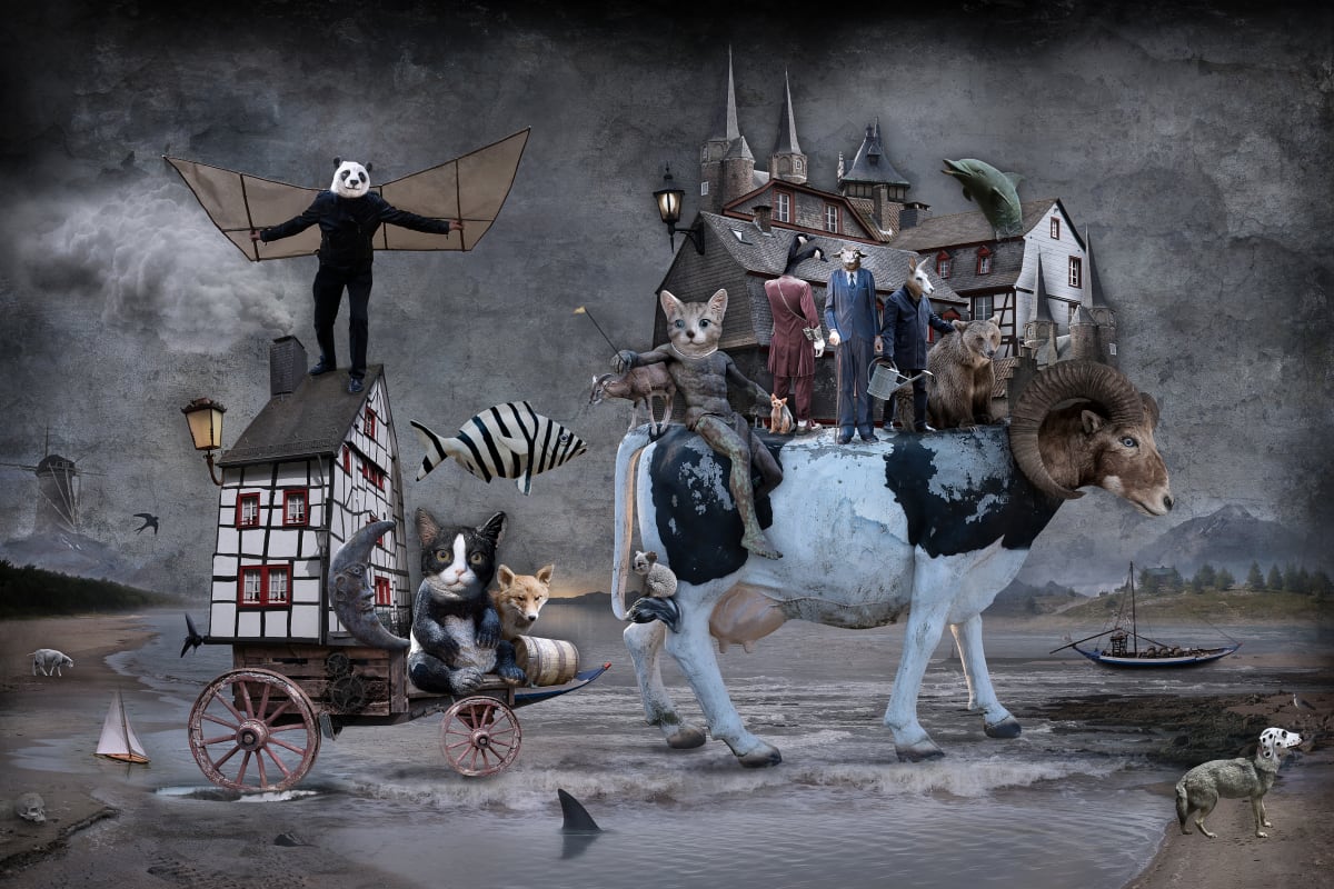 Marcin Owczarek | ZK Gallery