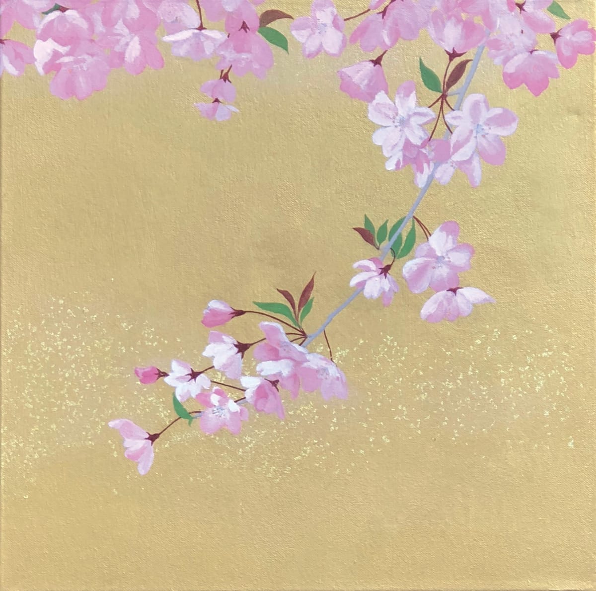 Fleur de Cerisier 01, 2018