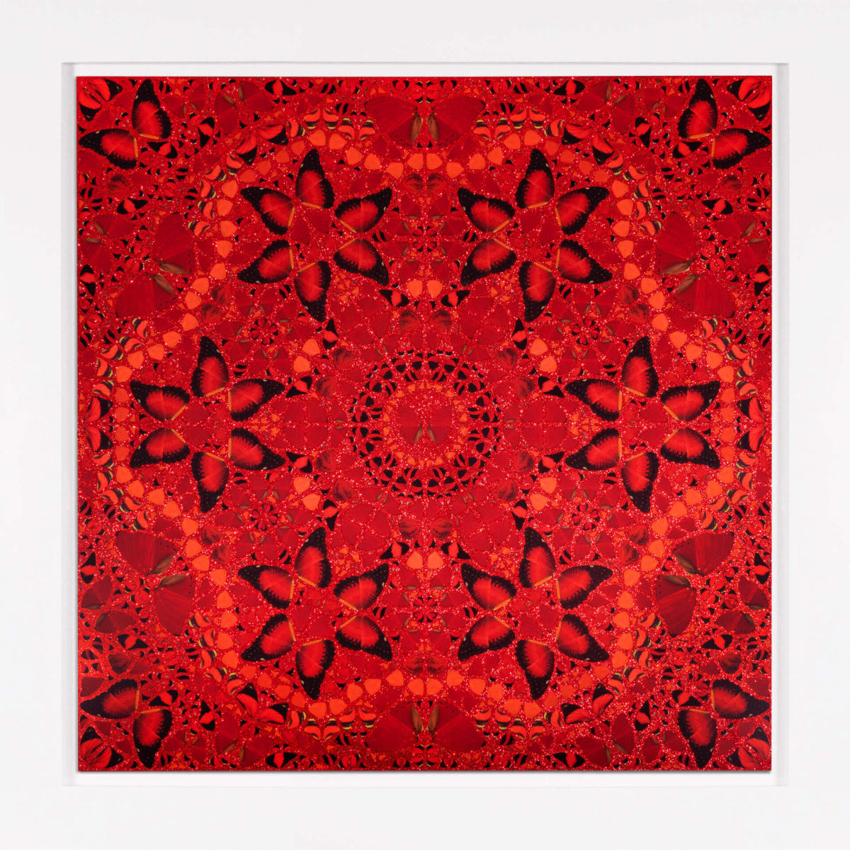 Damien Hirst | Arton Contemporary