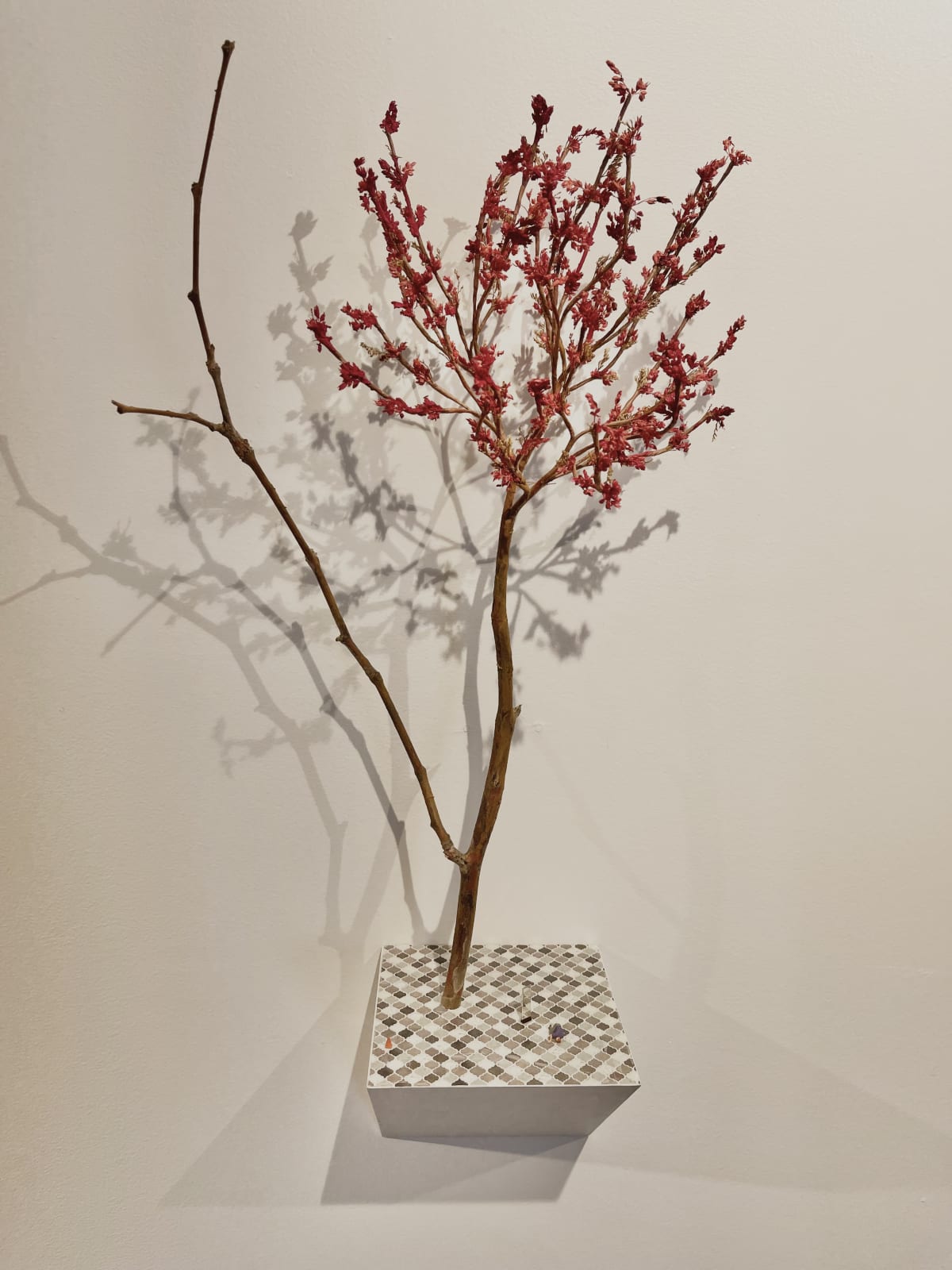 Rear View Mirror, 2022