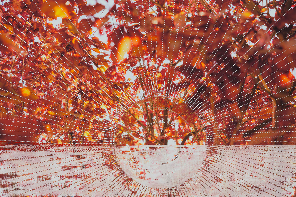 The Space Between #12, 2021