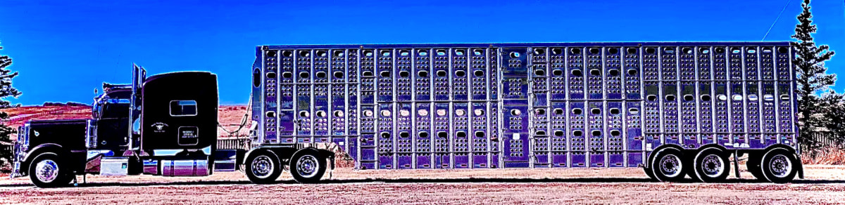 Purple 18 Wheeler, 2023