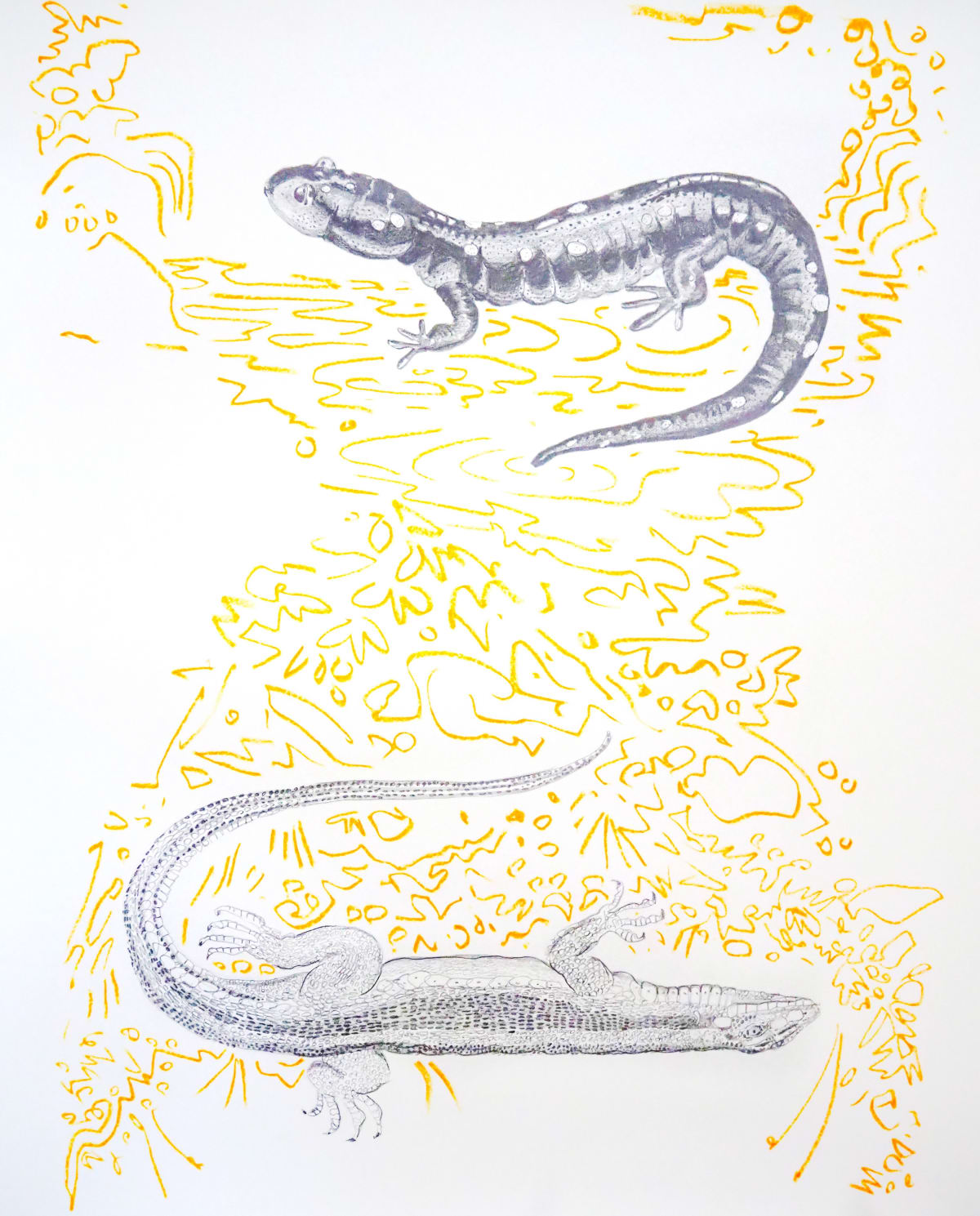 Convergent Confunction , 2021