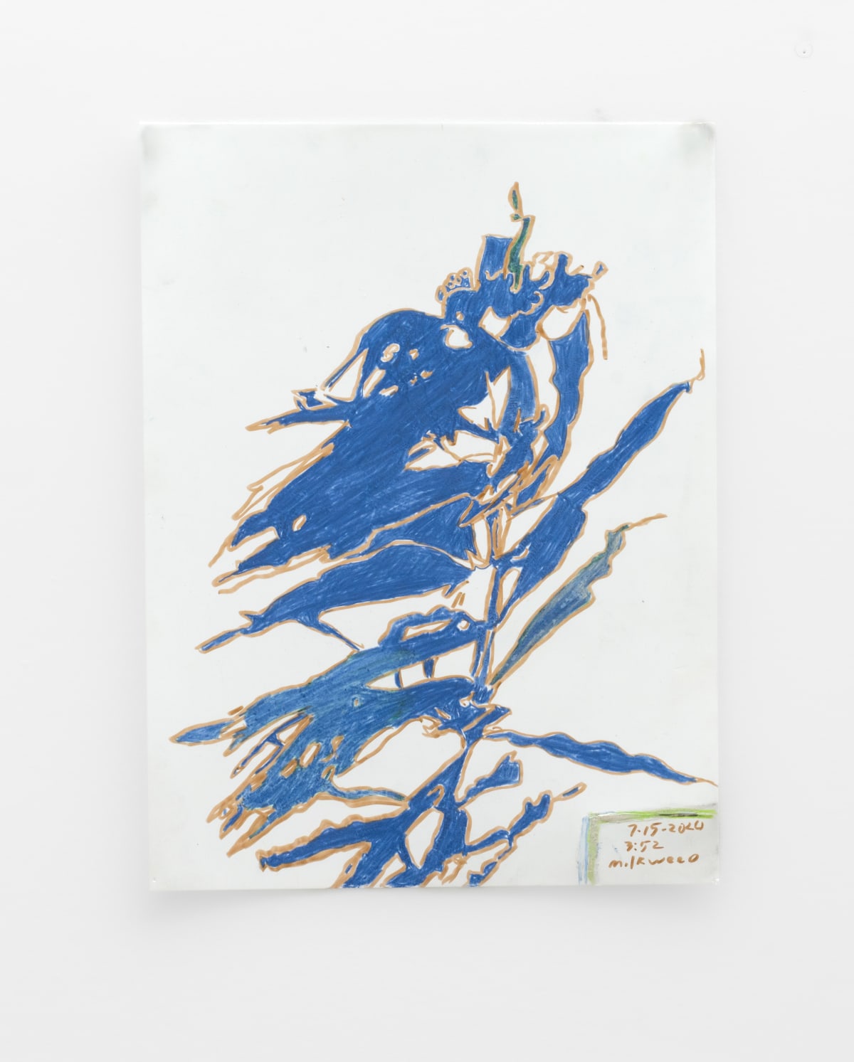 Milkweed Shadow, 2024