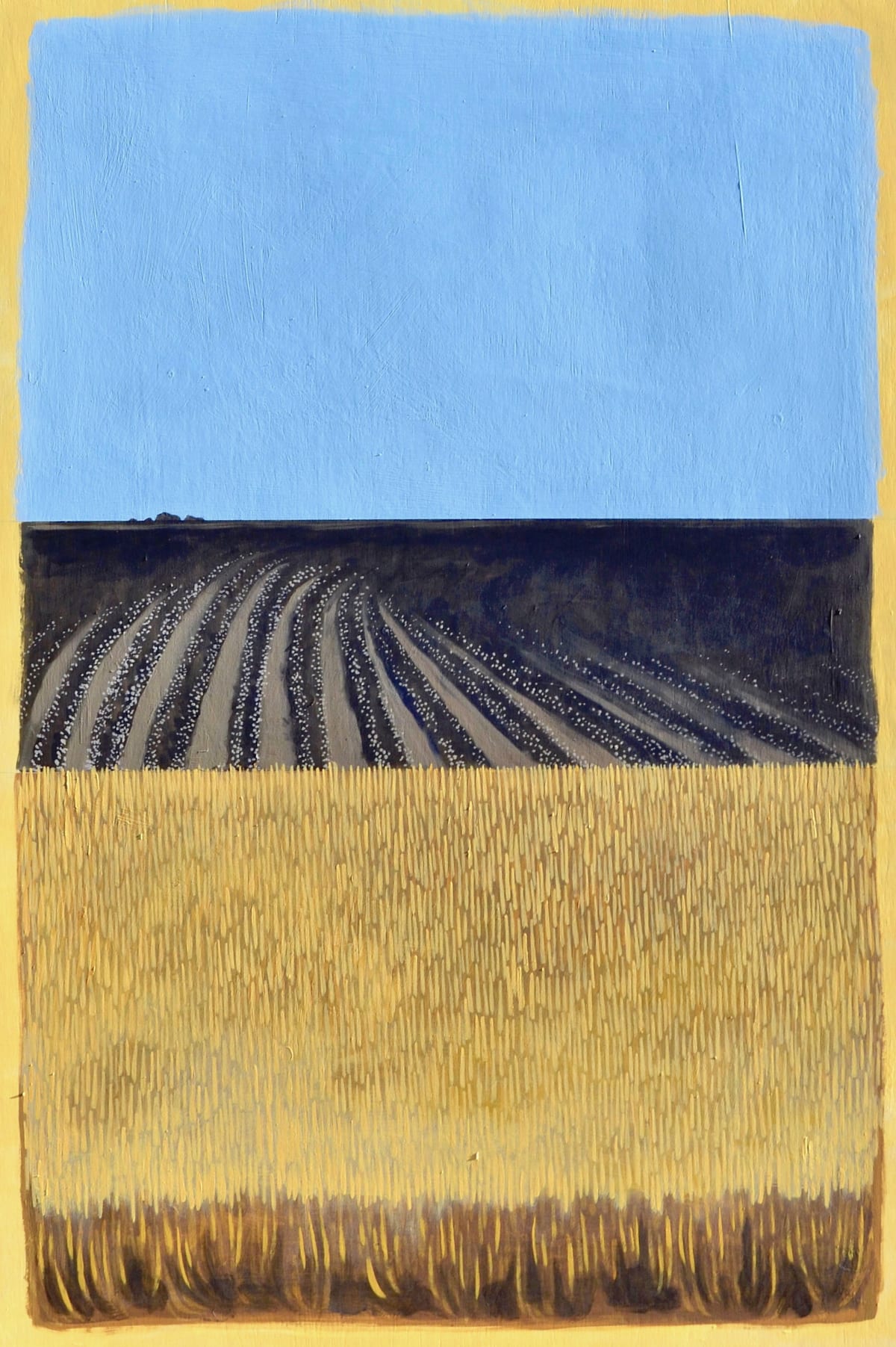 Skip-row Cotton, 2019