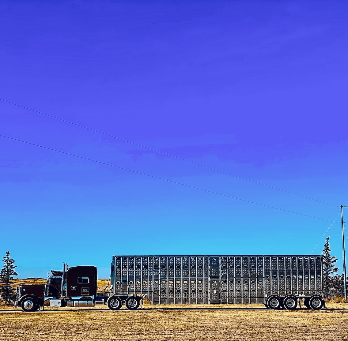 Silver 18 Wheeler Blue Sky, 2023