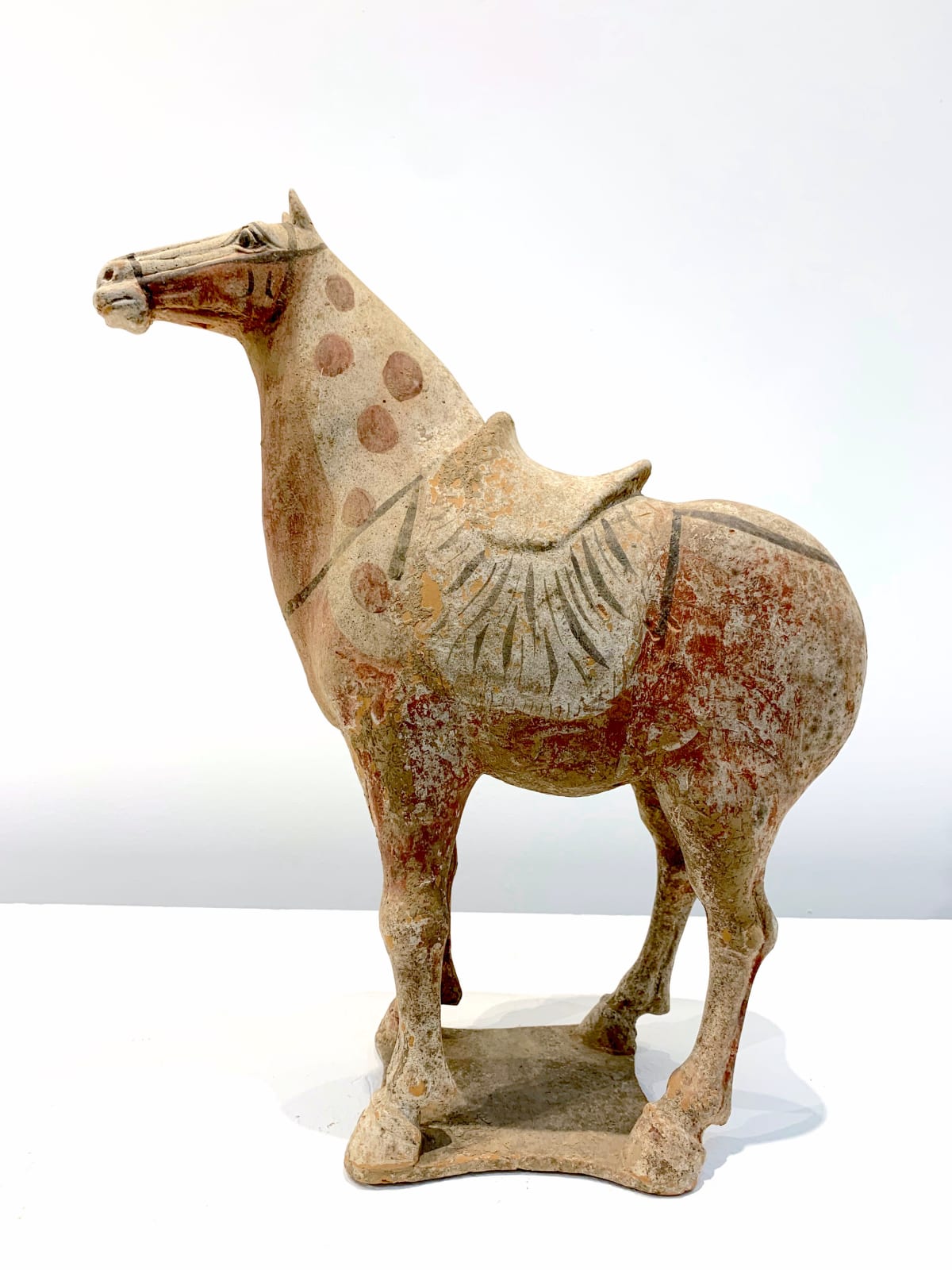 Chinese Antiques 中国古董, A Painted Pottery Saddled Horse 中国唐 