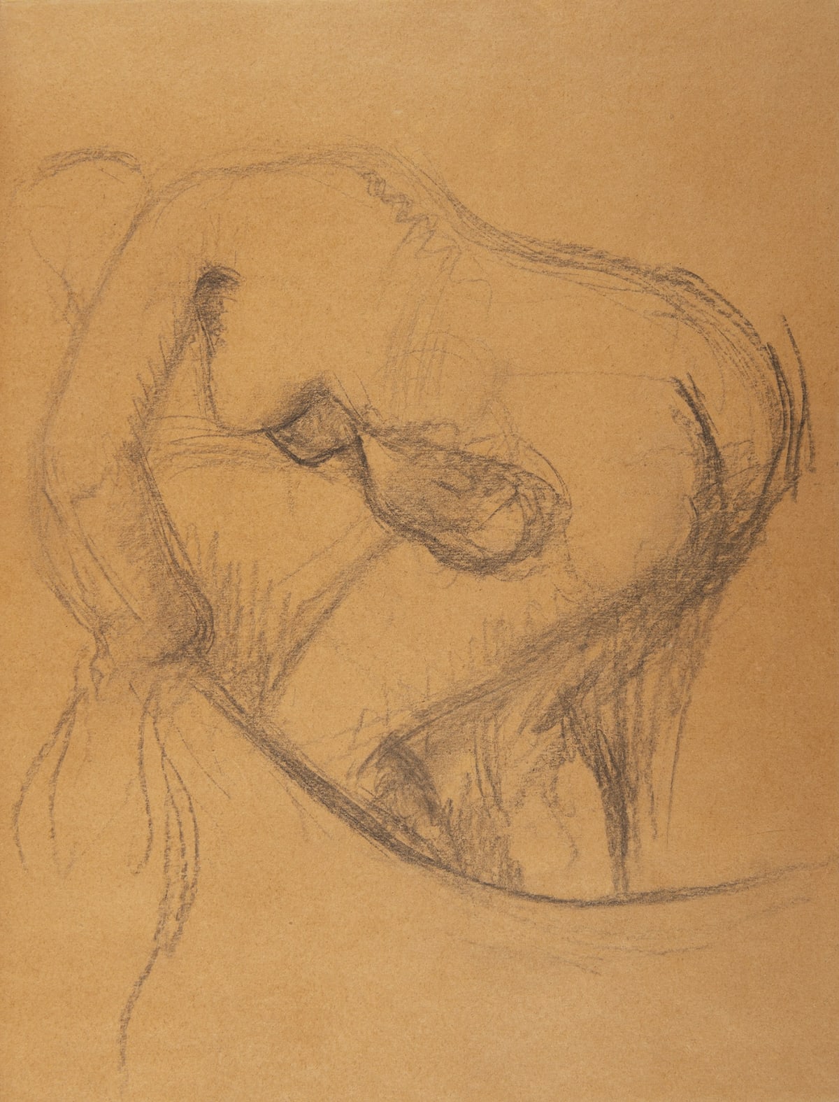 Edgar Degas  Bailly Gallery