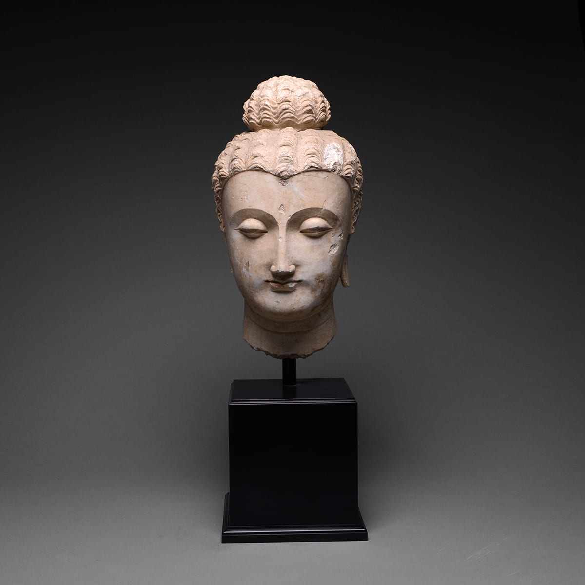 【gandhara】 Gandhara Stucco Head of a Bodhisattva. 2nd-4th century AD