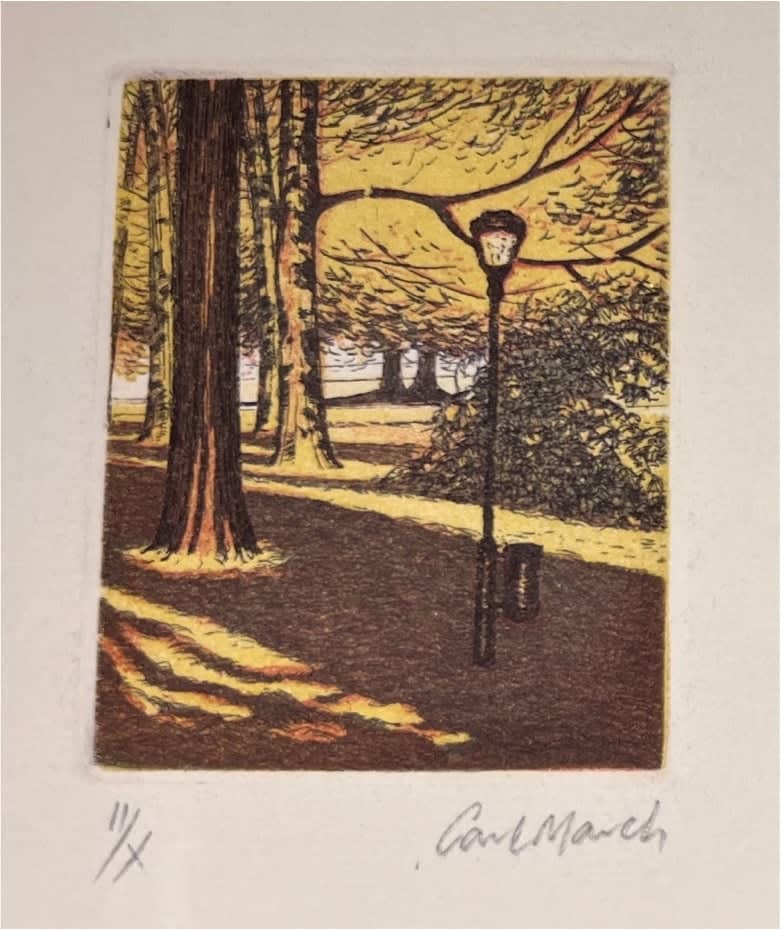 Sun in the Park