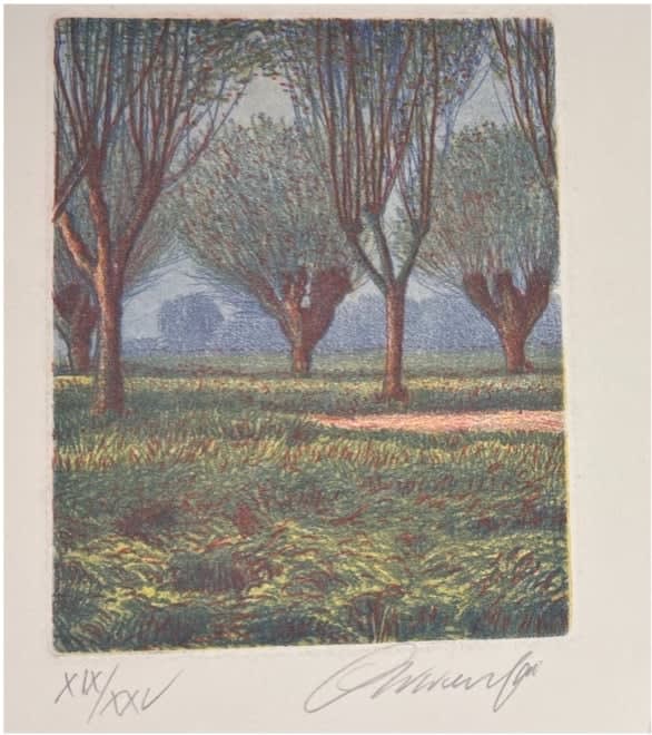 Trees in a field