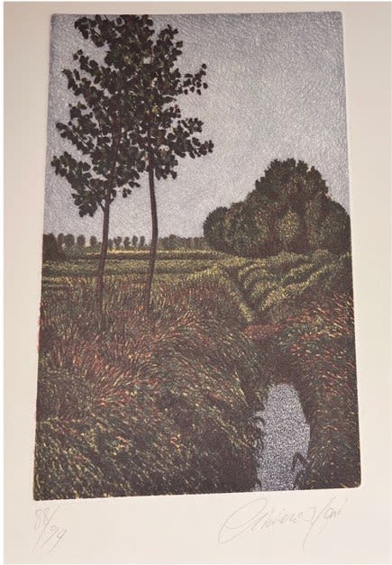 Stream in field