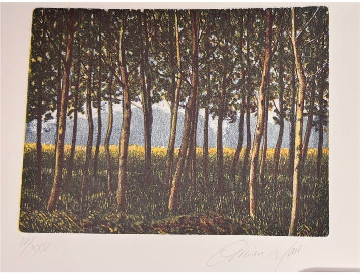 Trees in a field