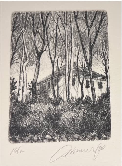 House behind trees