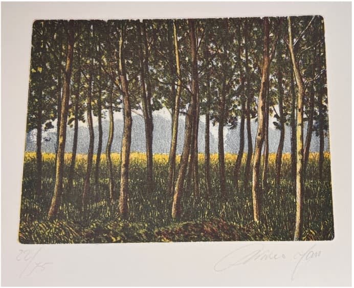 Trees in a field