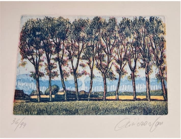Trees in a field