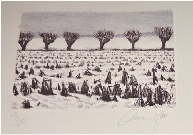Field in snow