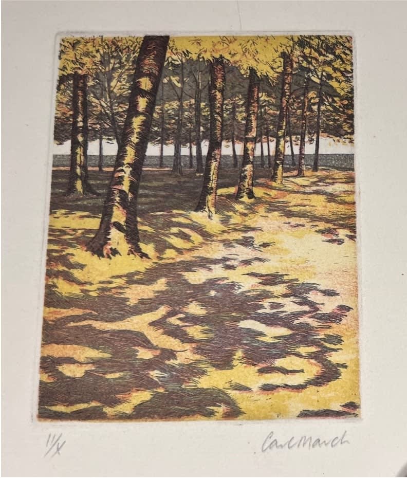 Sun Through The Trees