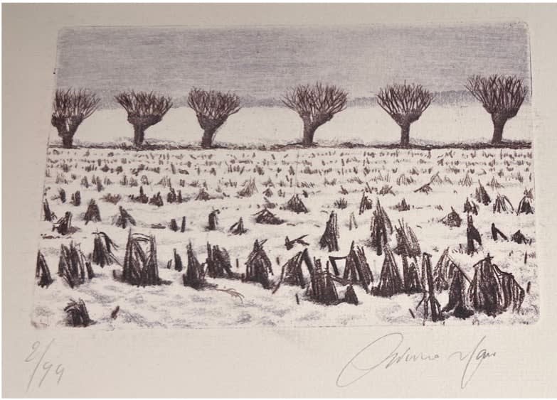 Field in snow