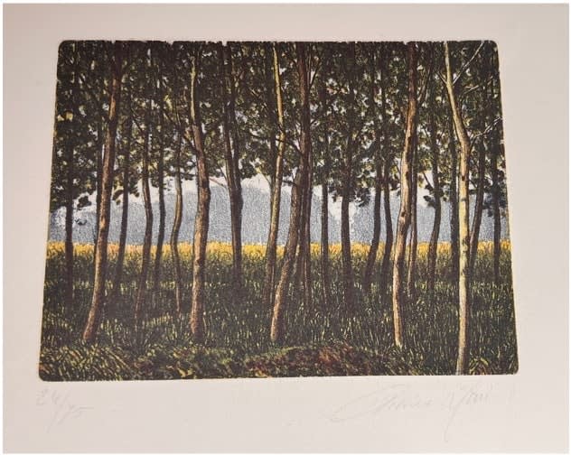 Trees in a field