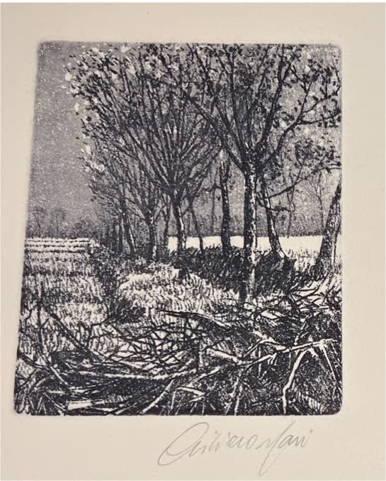 Trees in a field