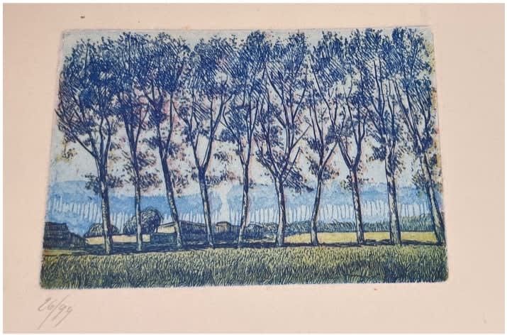 Trees in a field