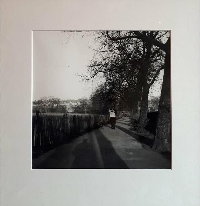 Sun and Shadow at Kenwood 16 January 1954