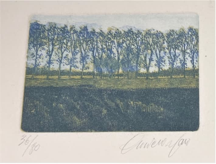 Trees in a field