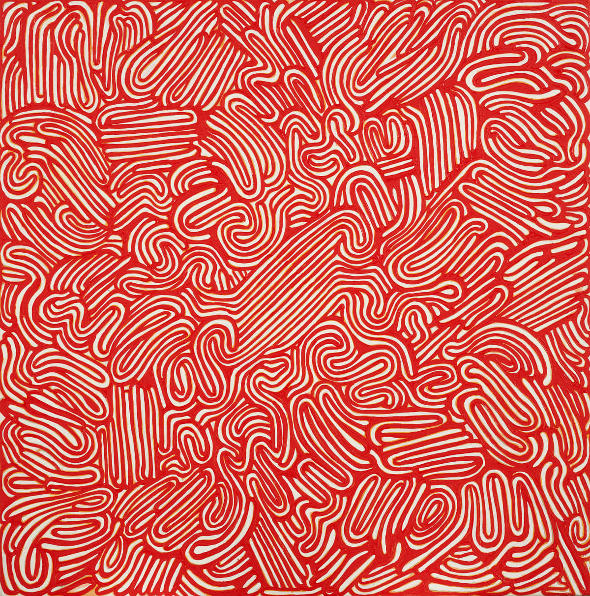 IN FOCUS: Francesco Polenghi